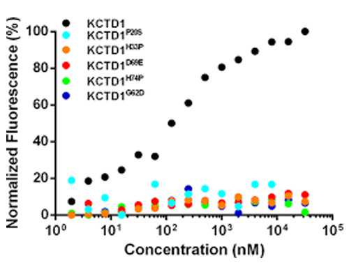 砂金攻略2.6复刻版｜追击体系的首选生存位 供卵代怀中心