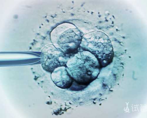 备孕必读：如何预防不孕及帮助种子顺利发芽？_备孕妈妈必知：如何调整饮食