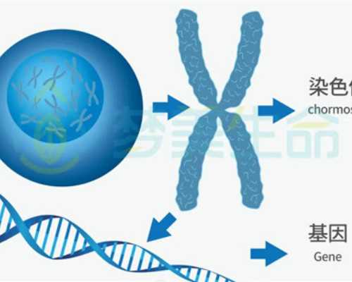 2024
年乌克兰代孕是否合法,试管双腔取卵针怎么用-有没有因为试管没成功离婚