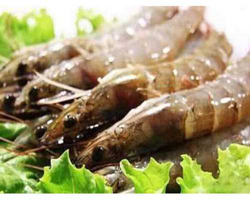 2023
年乌克兰代孕是否合法,北京家恩德运医院供卵价格,家恩德运医院价目表_试