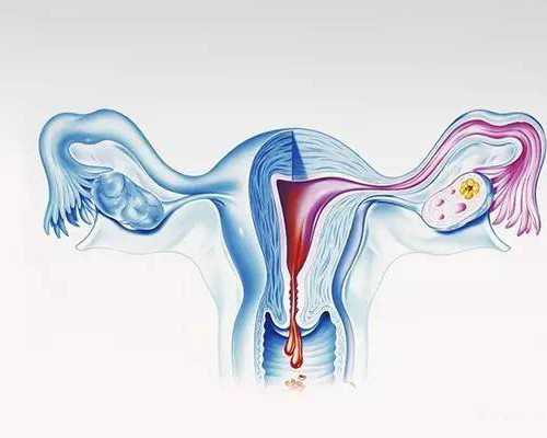 别大意！血小板一旦低于30危害可不小！ 代生试管包成功