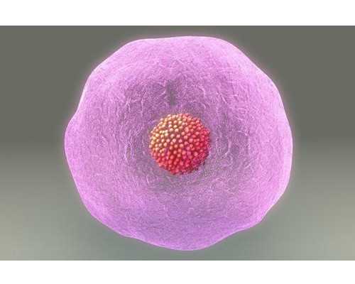 备孕男宝要知道的事，不删！ 供卵代怀产子医院