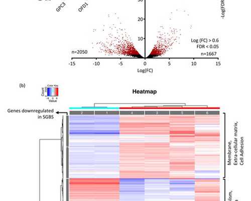 孕期反复低烧对胎儿有影响吗