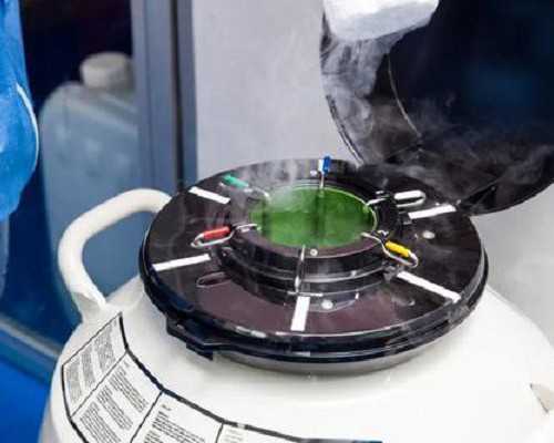 找乌克兰代妈上门洽谈,治疗不孕不育挂什么科_有在襄阳中心医院试管吗-上海仁