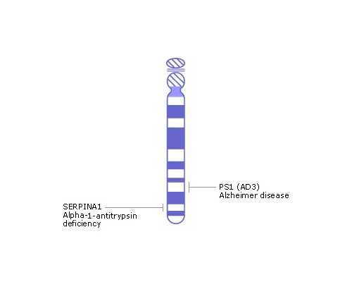 乌克兰代孕最正规机构,北京供卵医院做三代试管婴儿移植大概需要多少钱-上海