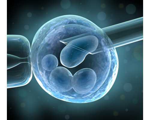 心电图t波改变 体检报告T波改变什么意思