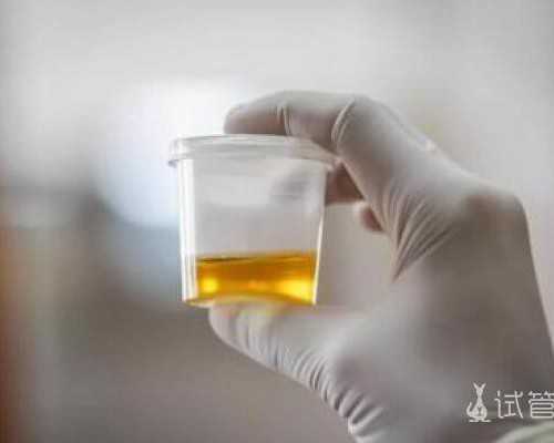 乌克兰代孕选性别官网,乌克兰供卵试管价格（乌克兰试管成功率并不高）