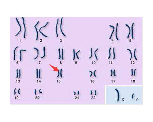 乌克兰代生双胞胎价格,北京试管成功率有多大和哪些因素有关？如何提高成功
