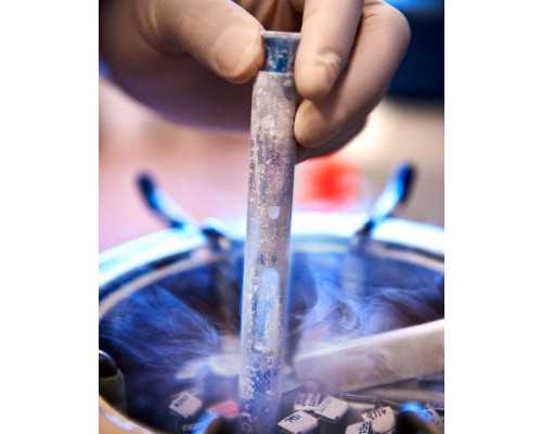 国内知名的乌克兰代孕,输卵管积水为什么不能做试管婴儿？医生这么说-上海供