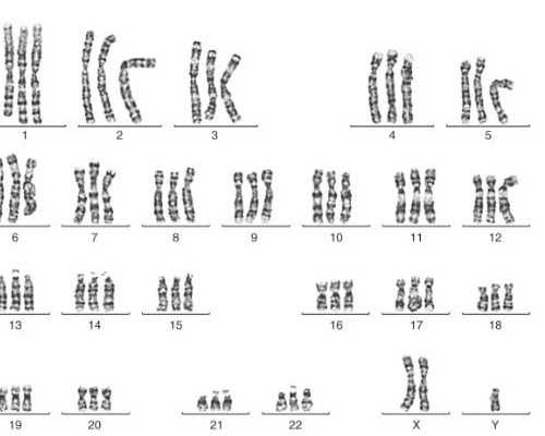 乌克兰供卵代孕网,乌克兰供卵试管婴儿中介机构-乌克兰供卵试管婴儿中介
