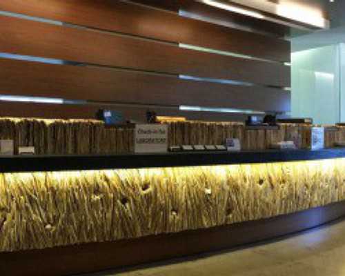 乌克兰代孕公司哪家,乌克兰做供卵试管成功率高吗，乌克兰供卵试管婴儿费用