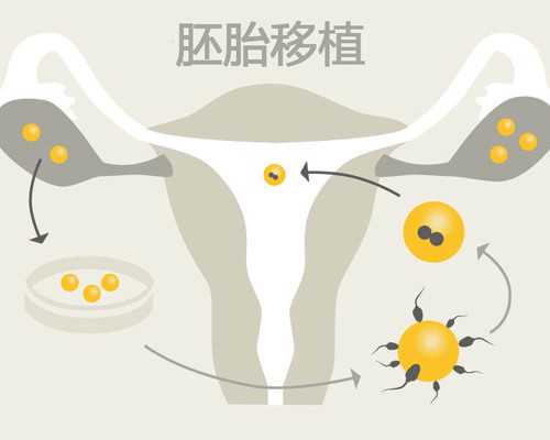 乌克兰代生公司费用,乌克兰供卵三代试管多少钱？乌克兰供卵试管婴儿攻略？