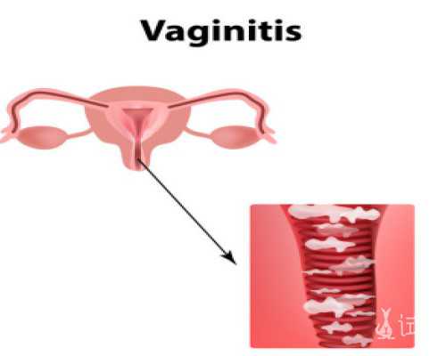 乌克兰供卵代孕过程,金贝供卵医院在哪个地方（北京供卵不排队医院）-试管移