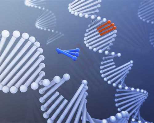 乌克兰最新代生价格,「乌克兰捐卵试管」乌克兰供卵试管费用