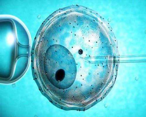 乌克兰代孕服务包成功,乌克兰供卵怀孕医院（乌克兰试管婴儿优势）