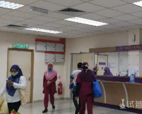 乌克兰代孕最好的公司,《乌克兰捐卵试管》乌克兰供卵试管费用