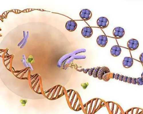 乌克兰能代生的公司,乌克兰供卵试管(乌克兰供卵试管)成功率高吗