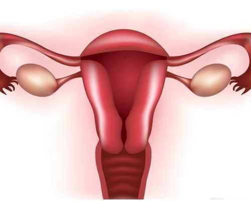 月经期间可以做入职体检吗