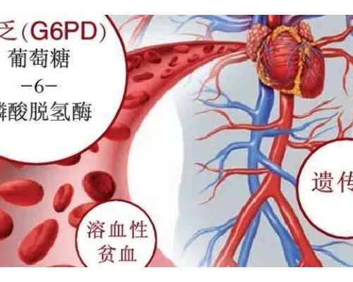 宝宝照片背景 宝宝拍照背景纸还是背景布好