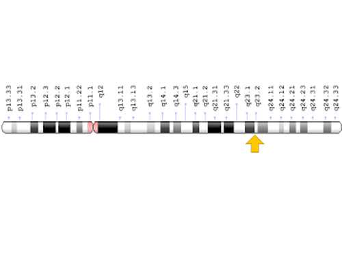 乌克兰代生取卵疼吗,乌克兰供卵选择,乌克兰供卵试管婴儿哪些人群可以做试管