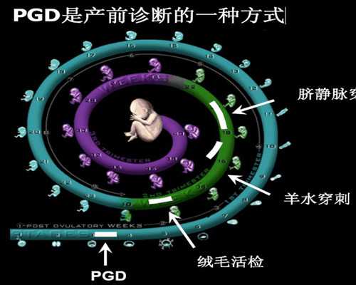 副作用最小的避孕药