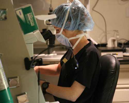 孕6周B超单子怎么看数据？要注意什么？