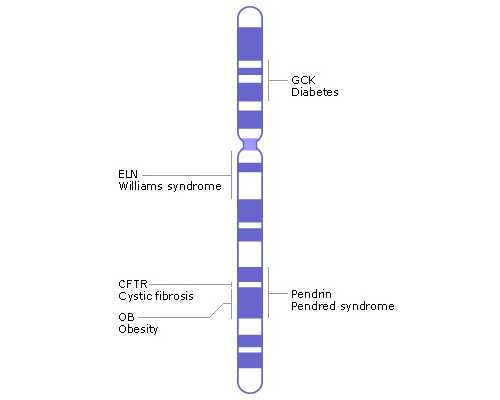 乌克兰代怀试管三代,【乌克兰供卵试管】乌克兰试管婴儿促排卵