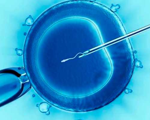 乌克兰高龄借卵价格,针对不明原因的不孕不育症病人能够赴美国做试-上海供卵