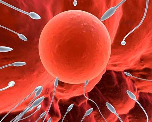 精子活力低赴泰试管婴儿的助孕治疗方案是怎样的？