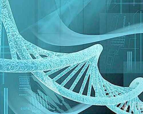 乌克兰供卵生儿子,北京合法供卵试管中心,北京试管套餐成功医院值得信赖吗