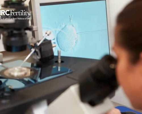 乌克兰借卵代怀价格,乌克兰供卵试管婴儿流程（乌克兰人工授精价格）