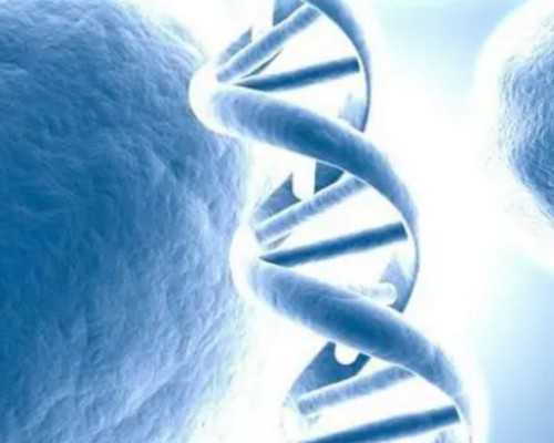 乌克兰代孕包成功案例,乌克兰助孕机构安全吗？，乌克兰试管是否可以选择性