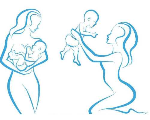 囊胚vs卵裂胚，移植哪种更好孕?