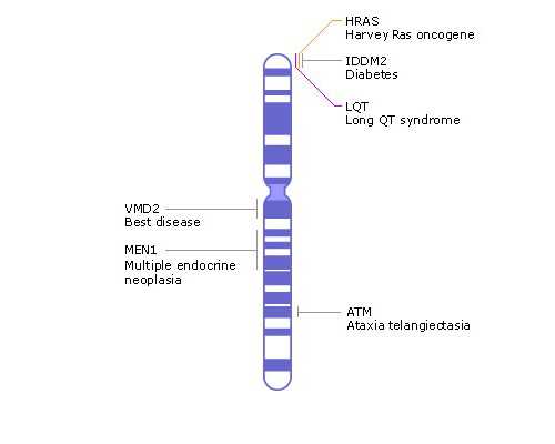 乌克兰赠卵代生选性别价格,北京去台湾供卵：台湾供卵医院有哪些_上海供卵试