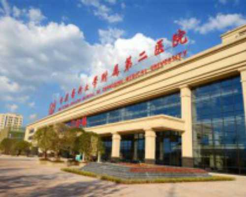 乌克兰代孕包成功吗,乌克兰供卵试管价格（乌克兰试管成功率并不高）