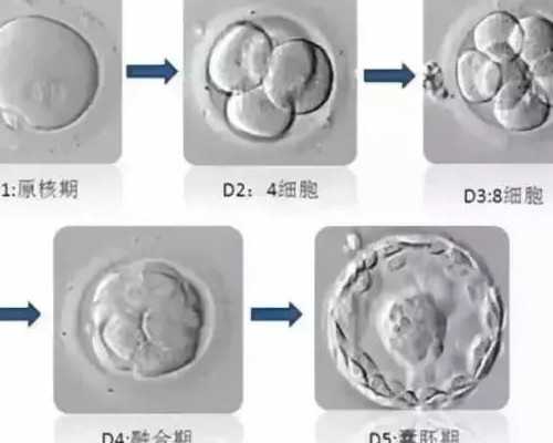 乌克兰代生机构包成功多少钱,泰国试管婴儿论坛，哪些内容可信呢？_上海正规