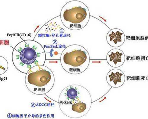 乌克兰供卵医院公立,乌克兰供卵怀孕（乌克兰自助试管）