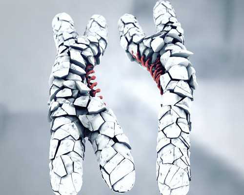 想要孕期顺利，怀孕第一个月很重要