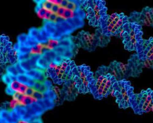 乌克兰代怀宝宝价格,试管婴儿移植后为什么要保胎？保胎方式有哪几种？_5bb囊