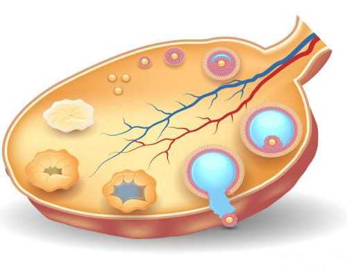乌克兰咨询代孕公司,乌克兰助孕机构排名？单身女性去乌克兰做试管生双胞胎