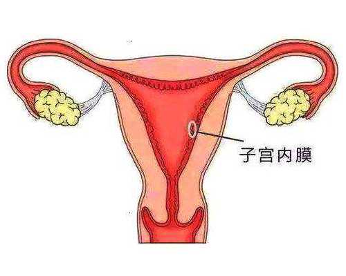 乌克兰供卵代孕报价表,试管婴儿促排卵有几种方案？_潍坊益都中心医院能做试