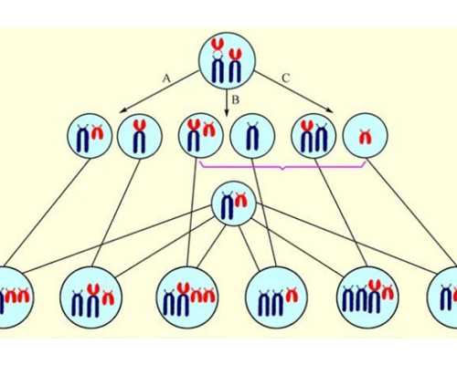 有心理疾病的人可以生小孩吗？揭秘！