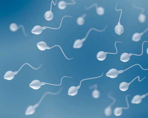 备孕前检查：了解流程、项目解读及选择合适的保健院