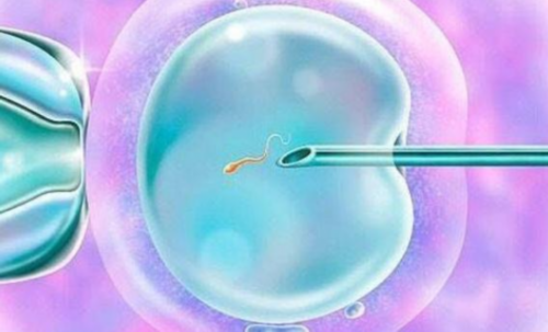 长沙看不孕不育哪家医院好？供卵助孕首选指南